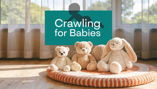 Crawling for Babies: Guide to Stages & Safe Moves