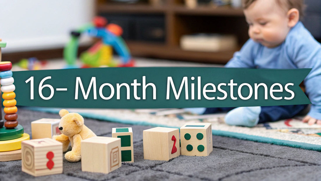 Your Guide to Navigating milestones 16 months: A Toddler Milestone Overview
