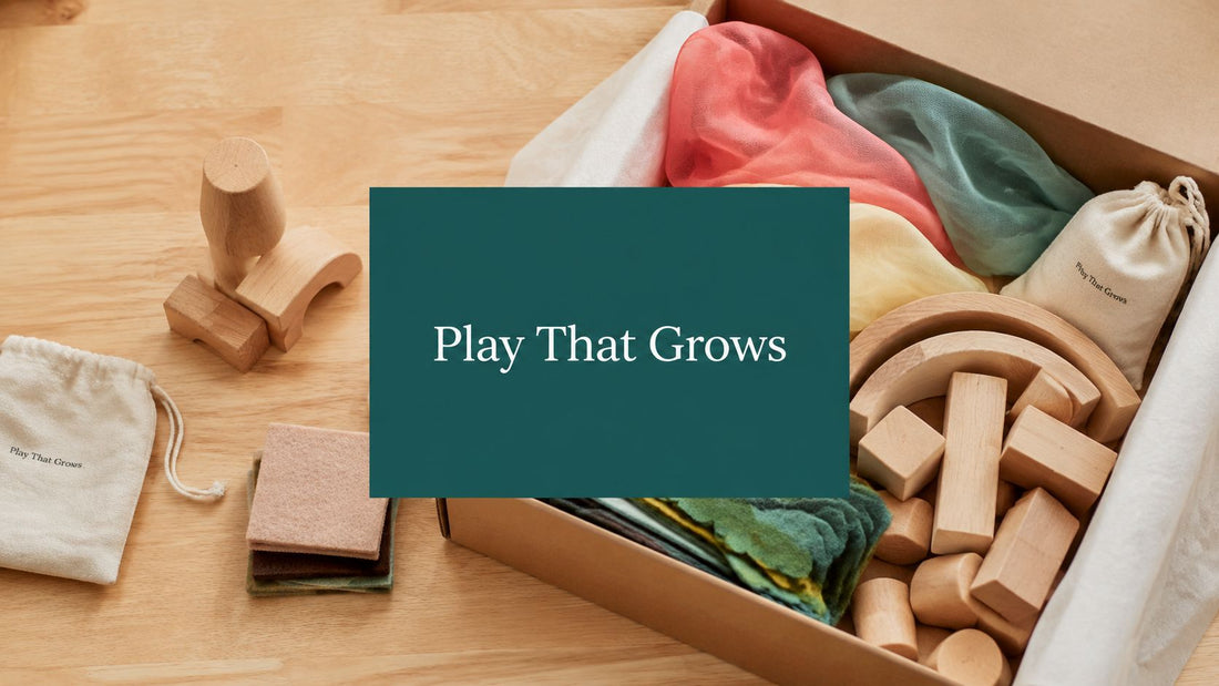 Toddler Activity Box: A Parent's Guide to Play That Grows