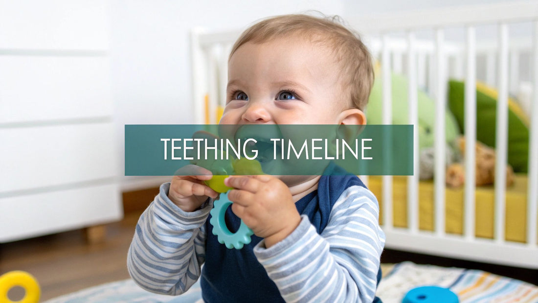 When Do Babies Start Teething A UK Parent's Complete Guide
