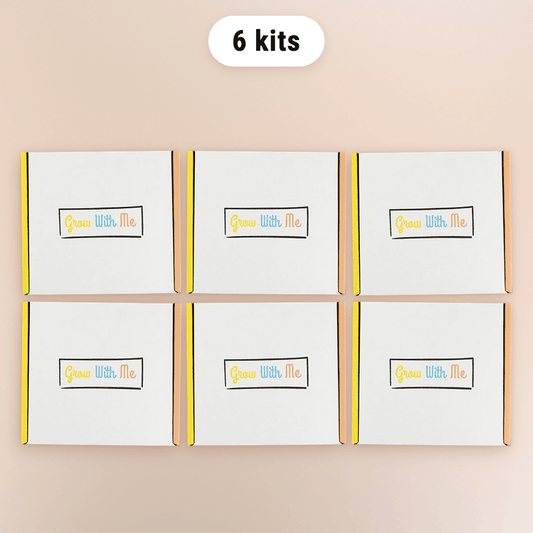6 Play Kits