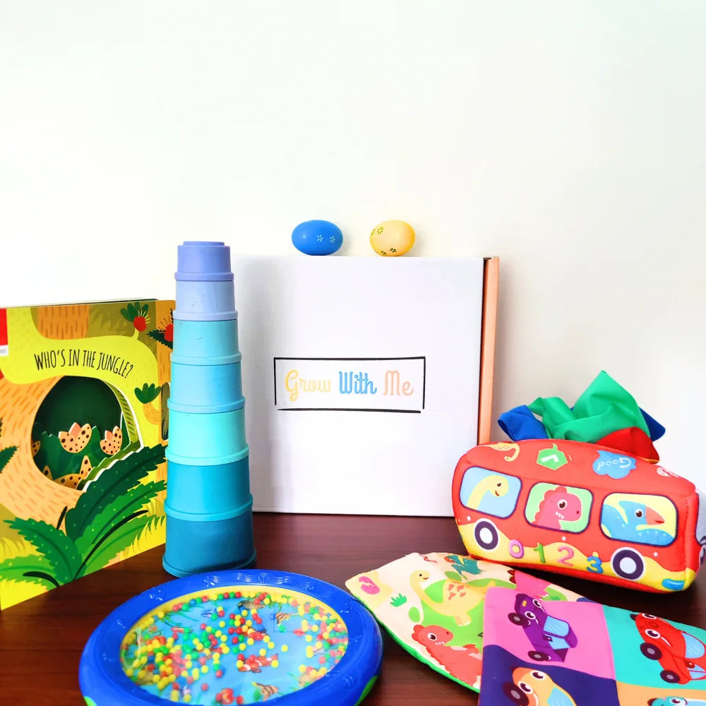 Monthly Play Kits