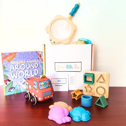 Monthly Play Kits