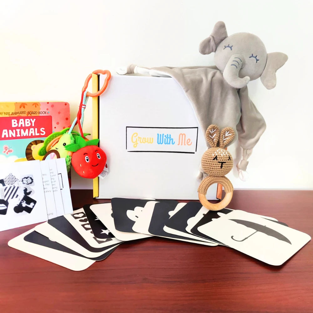 Monthly Play Kits