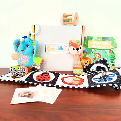 Monthly Play Kits