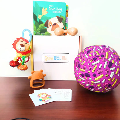 Monthly Play Kits