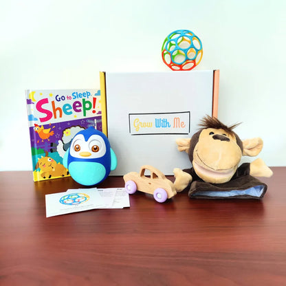 Monthly Play Kits